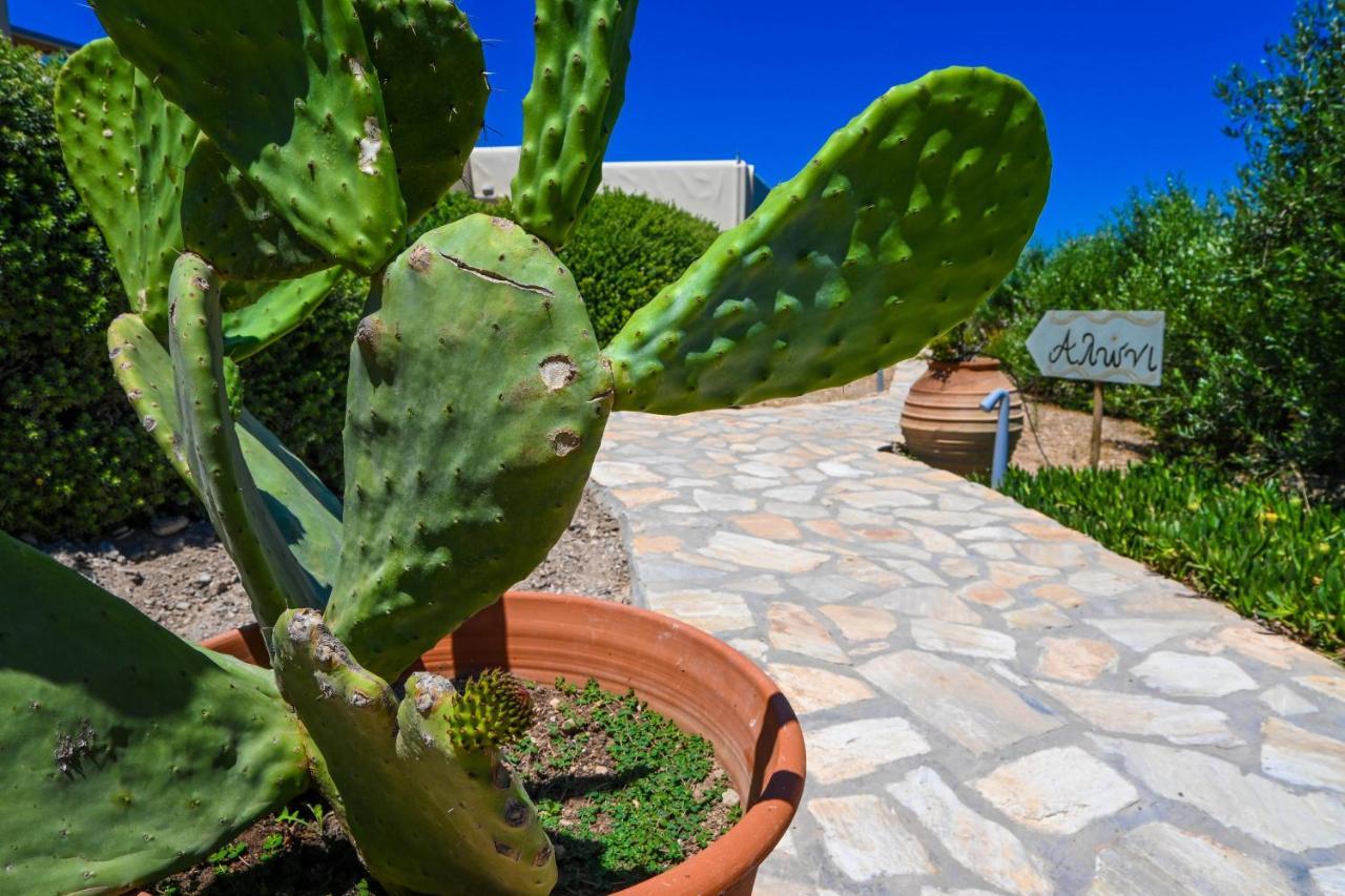 Schinoza Luxury Suites Schoinoussa Exterior foto